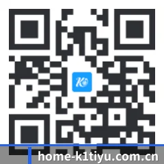 iPhone 专版 二维码